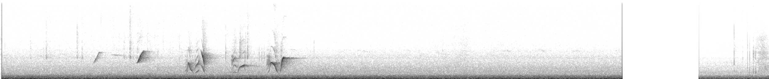 White-breasted Whistler - ML448191251