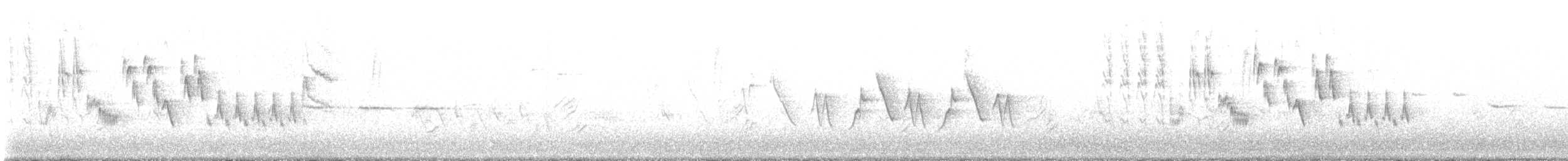 Northern House Wren - ML448194131