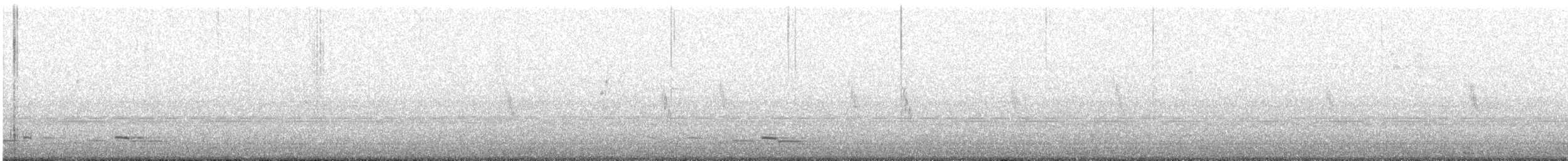 Black-naped Oriole (East Asian) - ML448205371