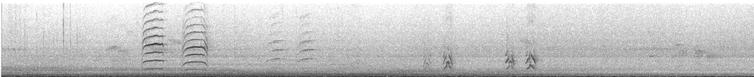 hvitsmykkehonningeter - ML448209071