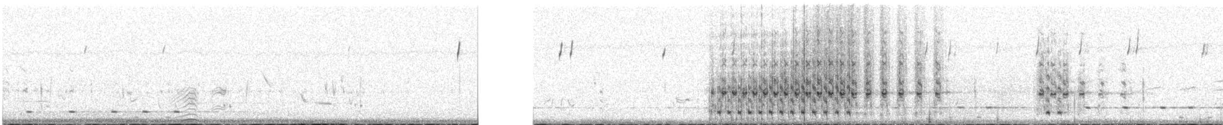 holub chocholatý - ML448212331