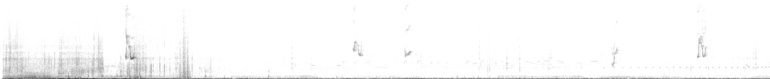 Bourke's Parrot - ML448213181