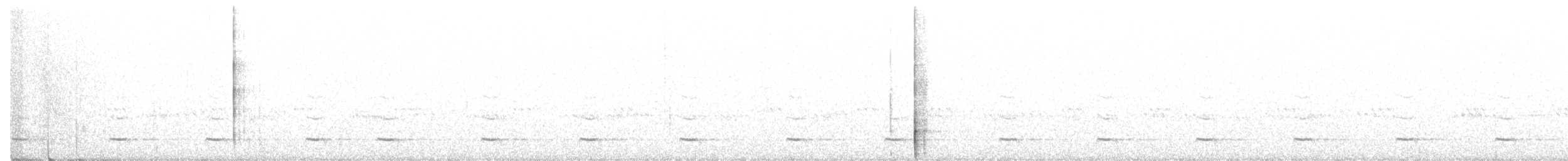 Chevêchette naine (gnoma) - ML448216061