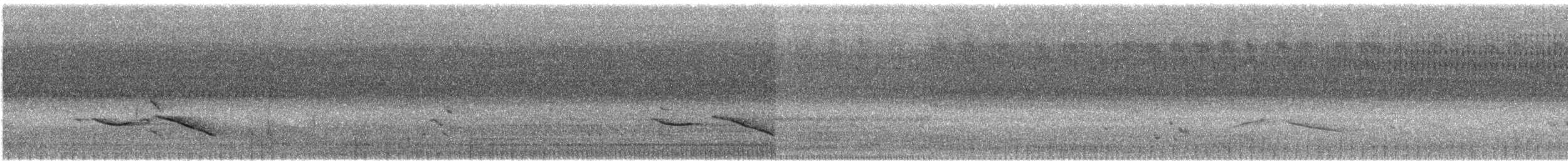 Streifenbrust-Erddrossling - ML448216151