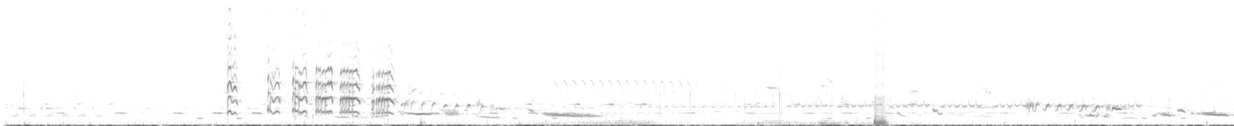 Чайка білогорла - ML448237171