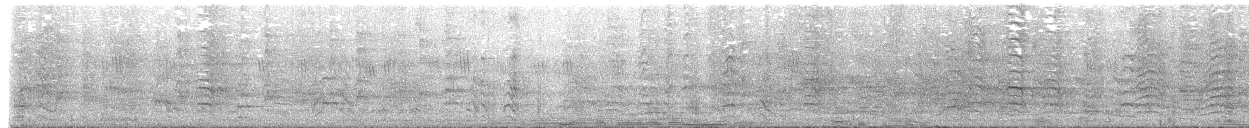 Perruche à moustaches - ML448312711