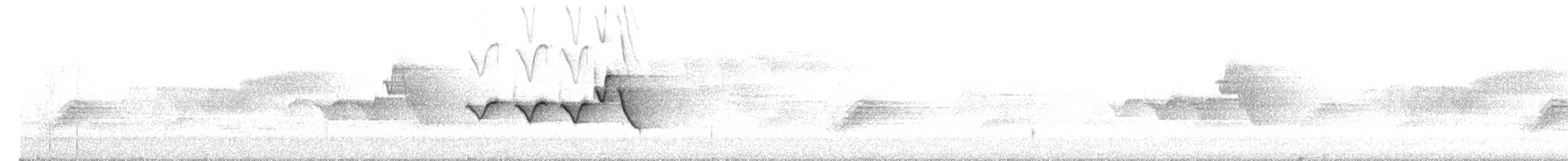 Hooded Warbler - ML448338281
