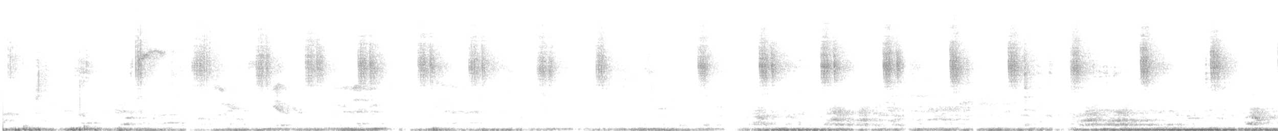 Колібрі білочеревий - ML448409811