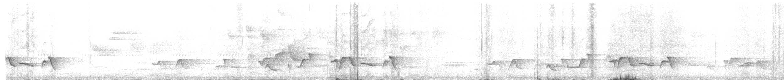 Серогрудый крапивник - ML448432071