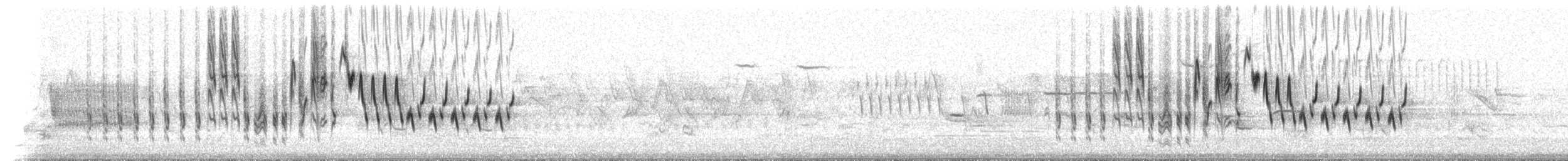 Northern House Wren - ML448457301