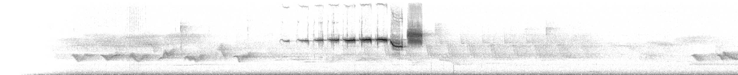 Black-throated Green Warbler - ML448458361