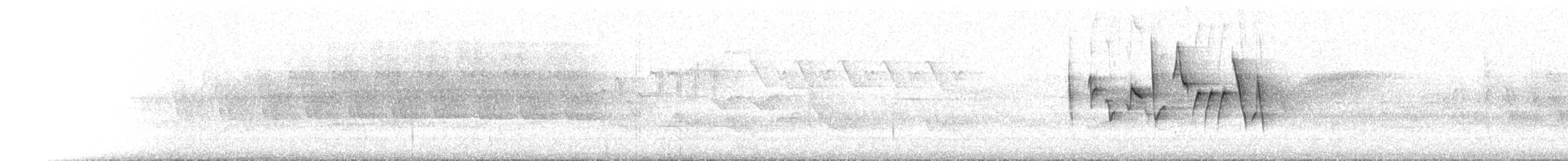 Canada Warbler - ML448458671