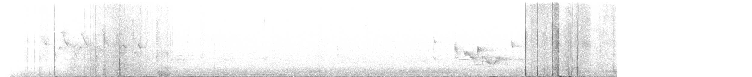 White-eyed Vireo - ML448463881