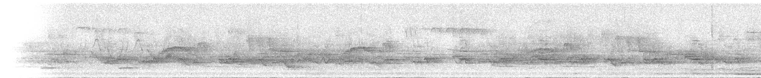 Canada Goose - ML448467701