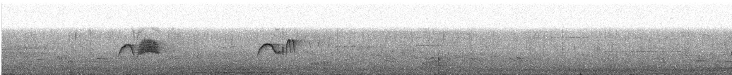 Светлобрюхий фиби - ML448503551
