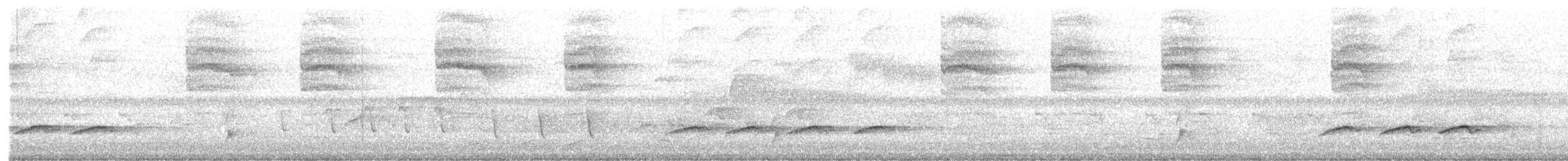 gråduskmeis - ML448525271