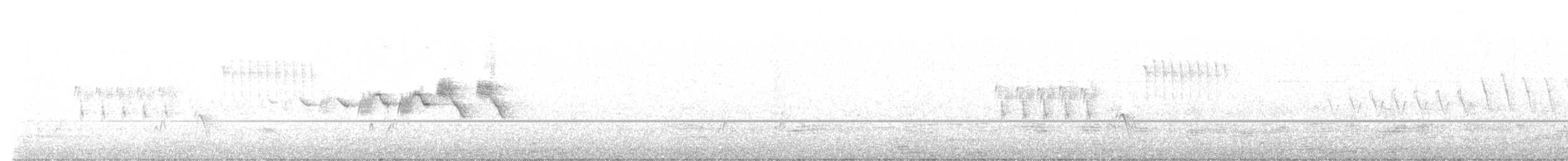Black-throated Gray Warbler - ML448564101