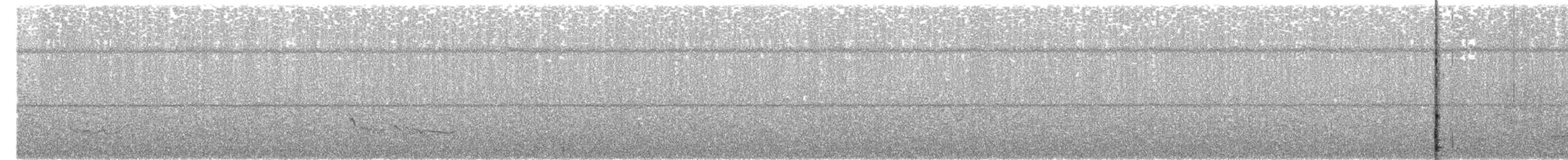 Хрустан тонкодзьобий - ML448602001