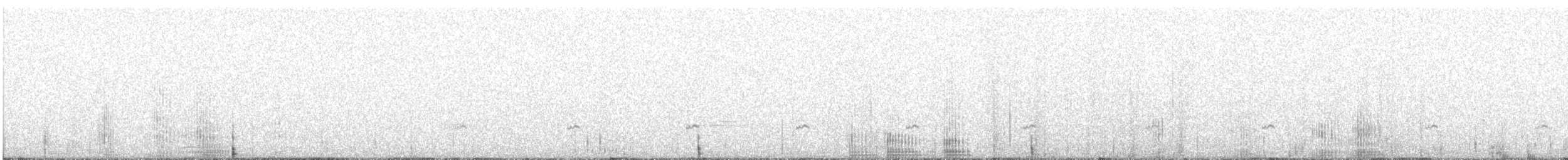 Пелікан рогодзьобий - ML448615891