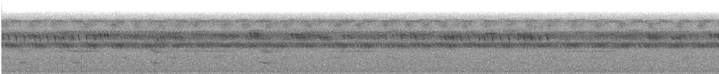 Fahnennachtschwalbe - ML44875161