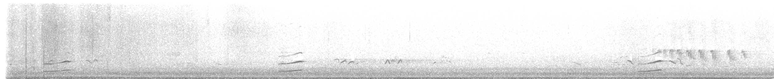 Lesser Yellowlegs - ML448786641