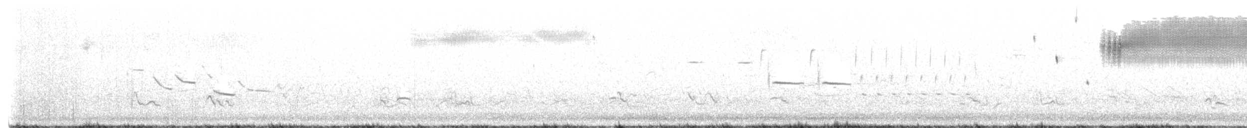 Кузнечиковая овсянка-барсучок - ML448818921