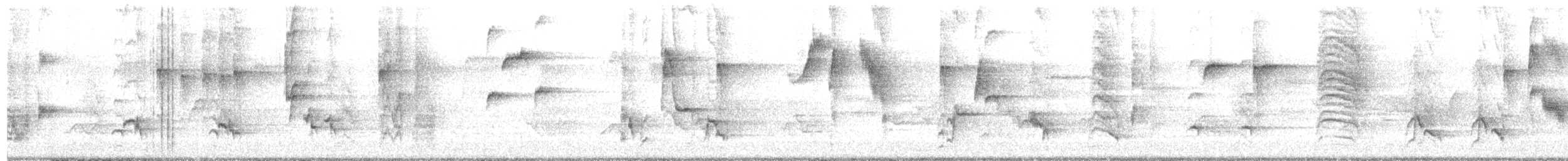 Miaulari grisa - ML448849791