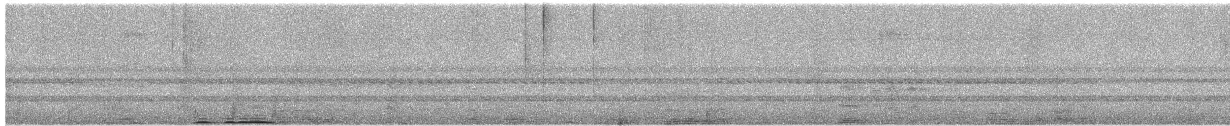 褐林鴞 - ML448867861