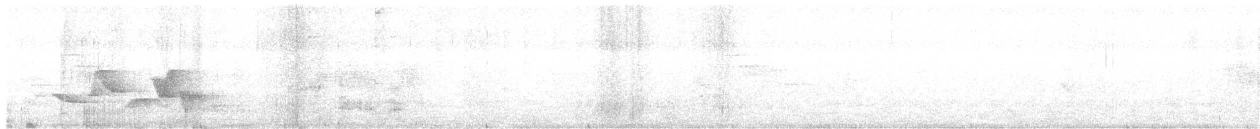 Spot-breasted Wren - ML448967601