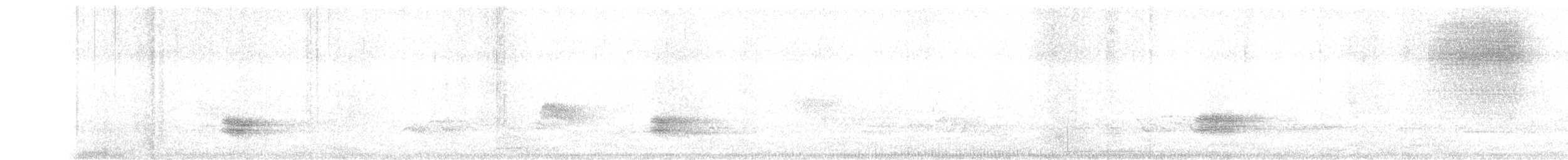 キバシノドジロツグミ - ML448970711