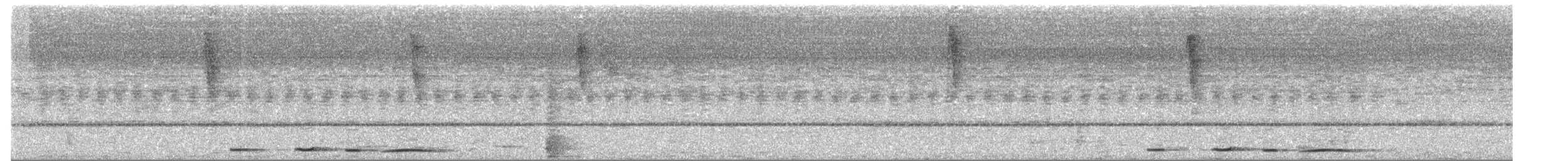 holub neotropický - ML449023501