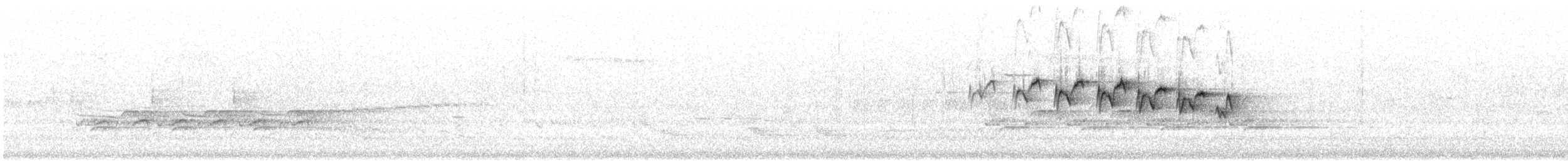 lesňáček zlatohrdlý (ssp. albilora) - ML449031681