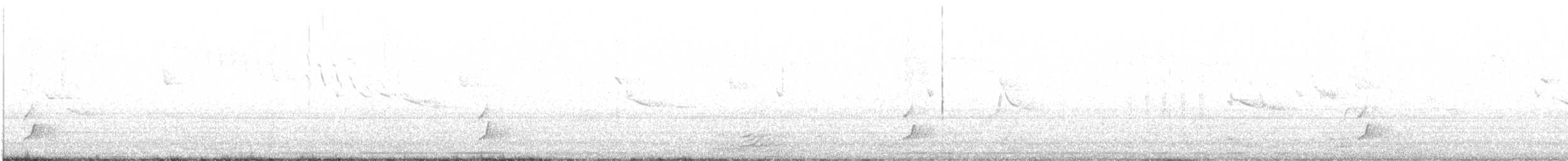 Дрізд-короткодзьоб Cвенсона - ML449123371