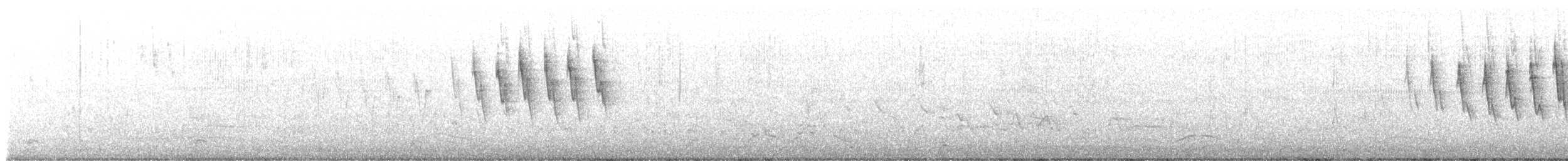 Wilson's Warbler - ML449128311