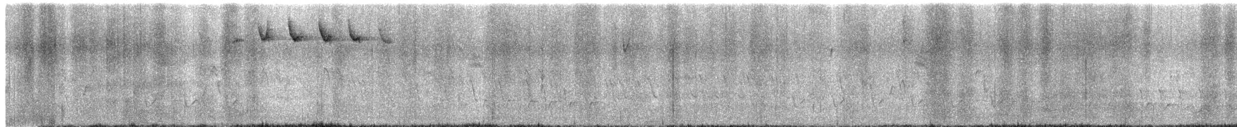 Blackpoll Warbler - ML449131781