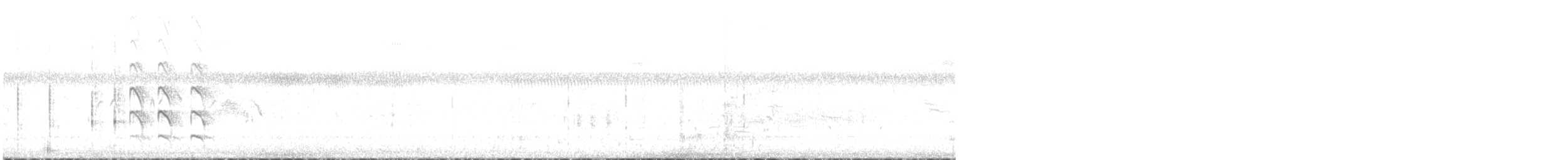 Sterne de Forster - ML449142531