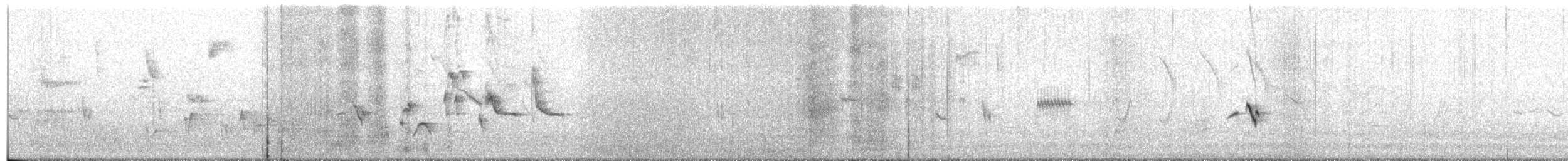 Ruiseñor Calíope - ML44916601