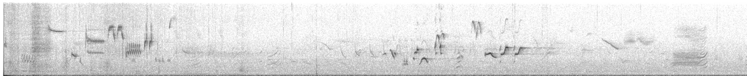 Ruiseñor Calíope - ML44916611