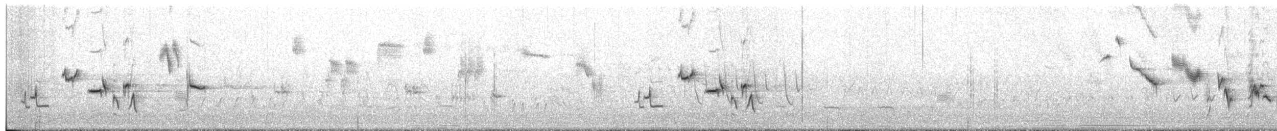 Ruiseñor Calíope - ML44916621