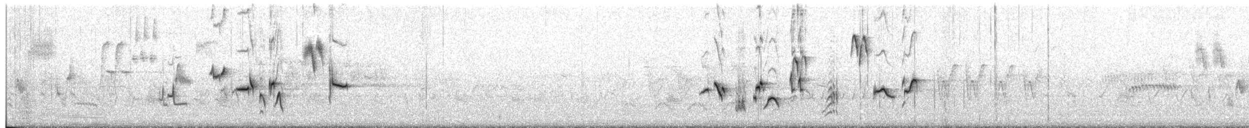 Ruiseñor Calíope - ML44916641