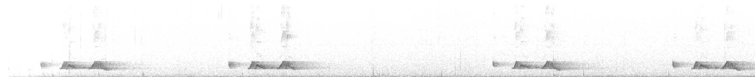 Carolinanachtschwalbe - ML449200171