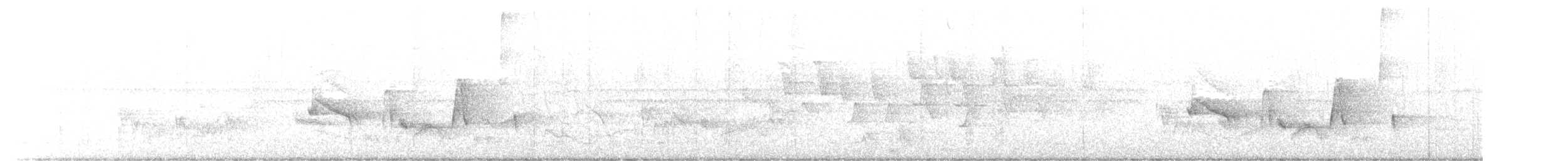 Weißaugenvireo - ML449202301