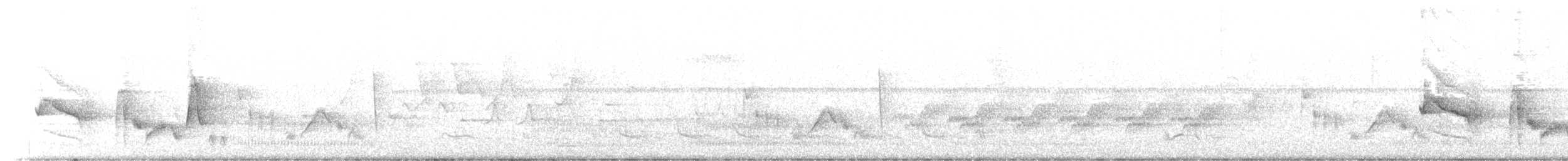 Weißaugenvireo - ML449202331