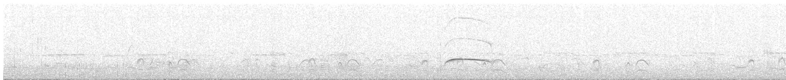 Nutting's/Salvadoran Flycatcher - ML449207571