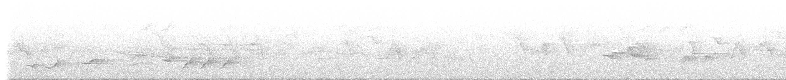 Черная райская мухоловка - ML449243201