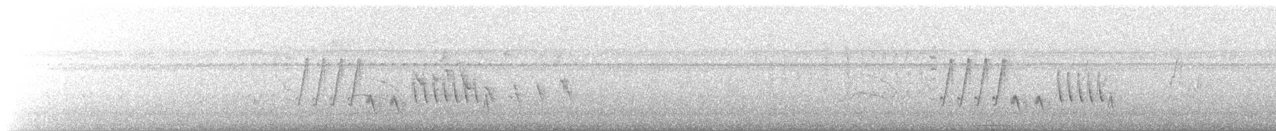 Southern House Wren - ML449260361