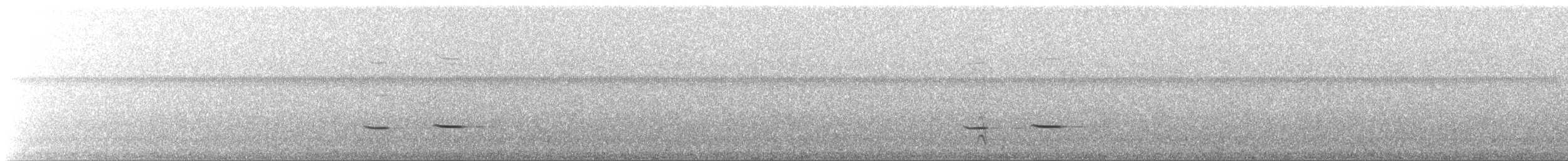 Striped Cuckoo - ML449266681