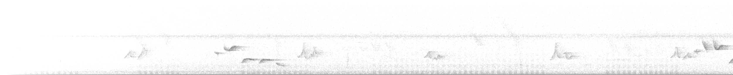 Troglodyte à poitrine blanche - ML449290071