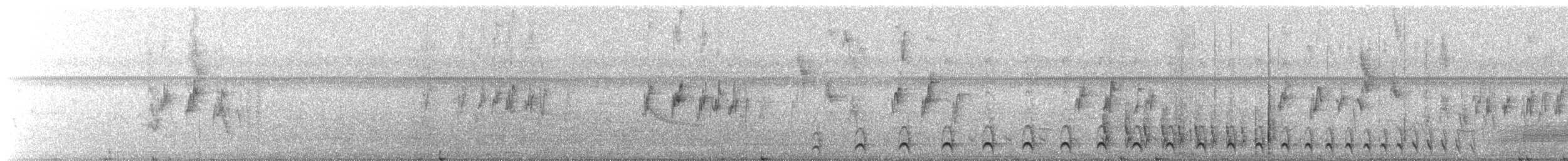 Great Antshrike - ML449297991