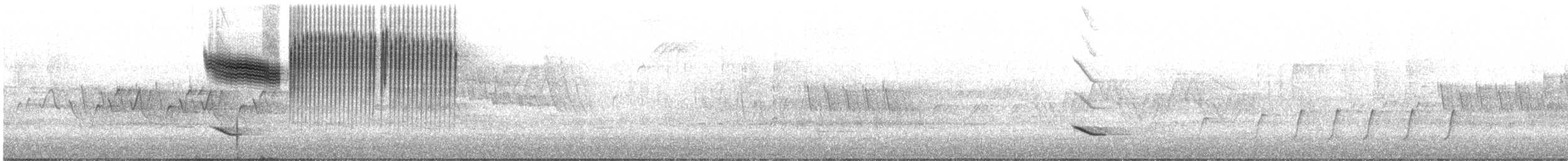 Голубокрылая червеедка - ML449313801